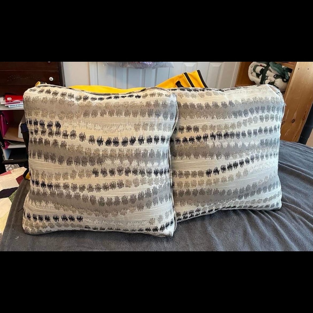 Two Throw Pillows